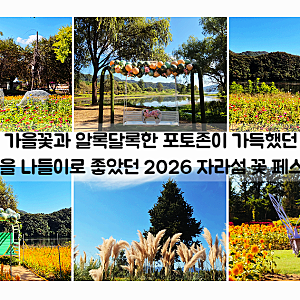 가평 가볼만한곳 2026 자라섬 꽃 페스타 가을 꽃축제 주차 입장료 후기
