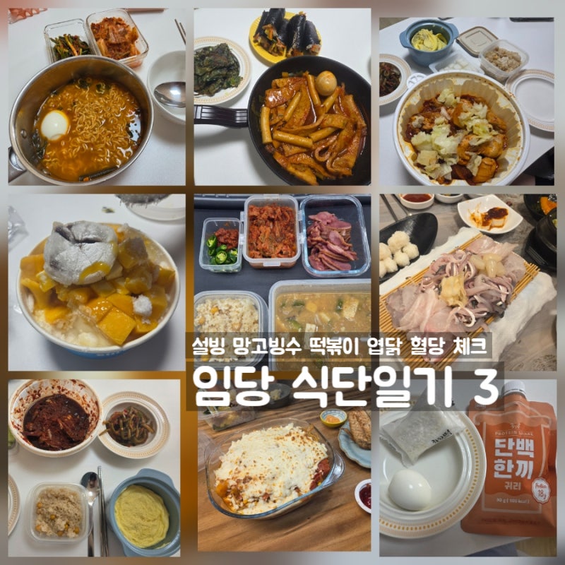 임신이야기_임신 식단일기3 임신성당뇨 임산부 식단 떡볶이 엽닭 망고빙수 파스타 혈당