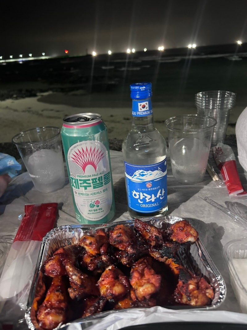 [제주 맛집] 동쪽 구좌 맛집 부가네얼큰이 세화점 매운닭날개 포장만 3번 한 후기 _ 내돈내산
