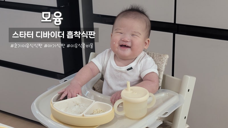 자기주도 아기식판! 모윰 스타터 흡착식판 솔직 후기 ft 이유식준비물