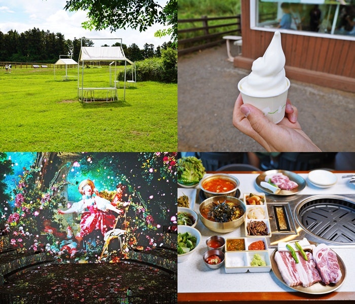 Jeju Family Trip Itinerary Including Isidor Ranch