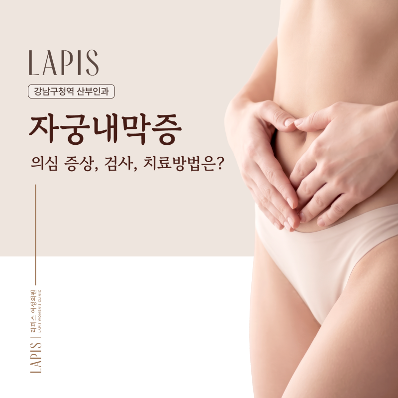 강남구청역 산부인과 자궁내막증 의심 증상, 검사, 치료방법은?