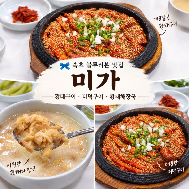 속초 아침식사 맛집 미가 황태구이 더덕구이 또 생각나는 인생 황태해장국 후기