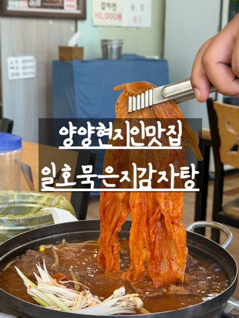 양양현지인맛집: 감자탕, 해장국 맛있는 집 일호묵은지감자탕&추어탕