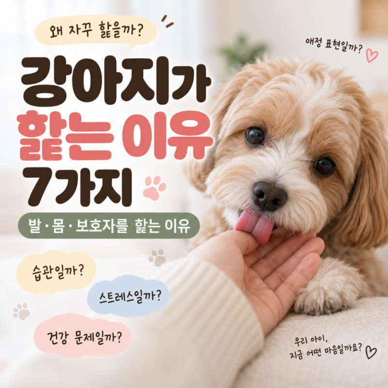 강아지가 핥는 이유 7가지ㅣ 발·몸·보호자를 핥는 이유