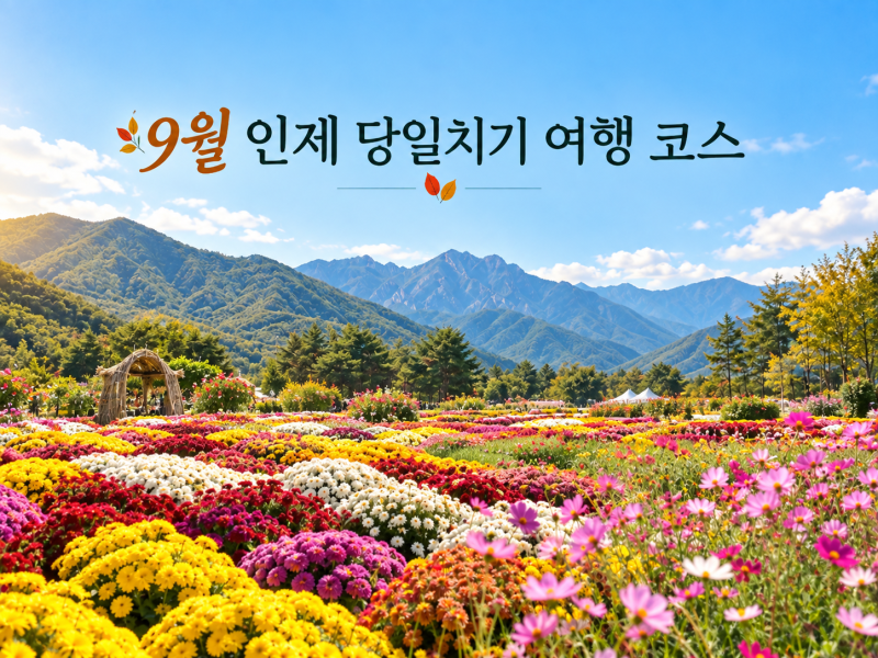[인제 여행] 9월 인제 인제가을꽃축제부터 백담사까지 초가을 하루 여행