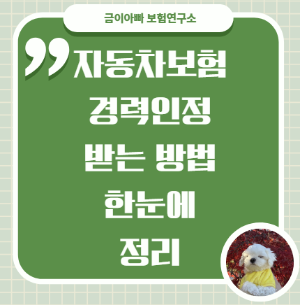자동차보험 경력인정 받는 방법｜부모님, 배우자 보험도 됩니다
