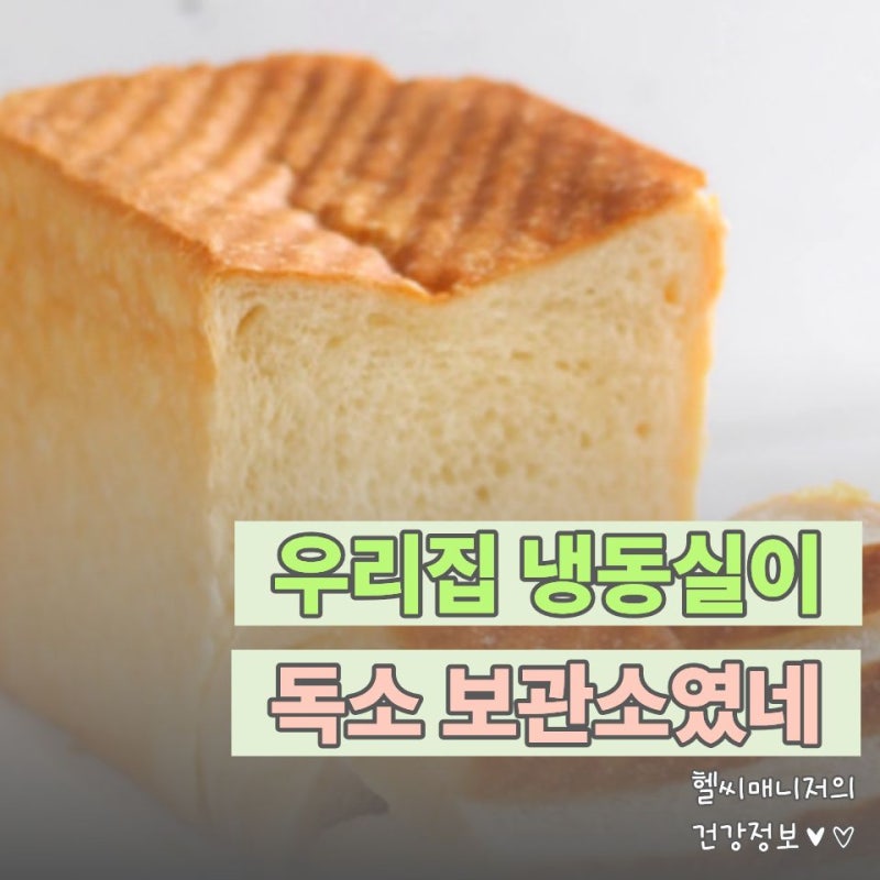 빵이랑 고춧가루 냉동보관 '기간'이 정해져 있다고요? 냉동실 독소보관소 만드는 음식 TOP3