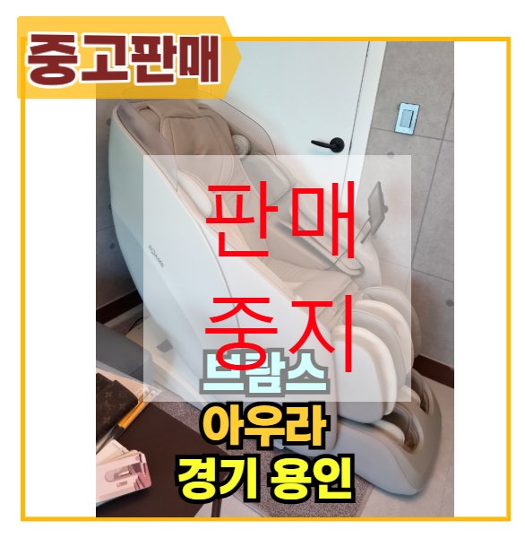 1개월 된 브람스 아우라모델, 저렴하게 처분합니다.