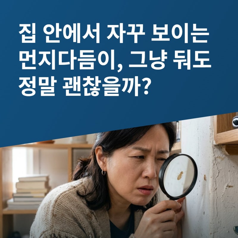 집 안에서 자꾸 보이는 먼지다듬이, 그냥 둬도 정말 괜찮을까?