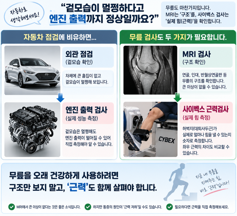 "무릎 엠알은 아무 문제 없어요" vs "허벅지(사두)근육이 약해서 그럴....