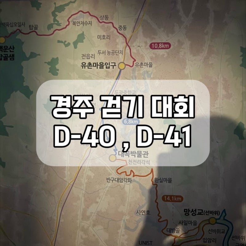 태화강 매일 걷기 , 경주 신라의 달밤 D-40 , D-41