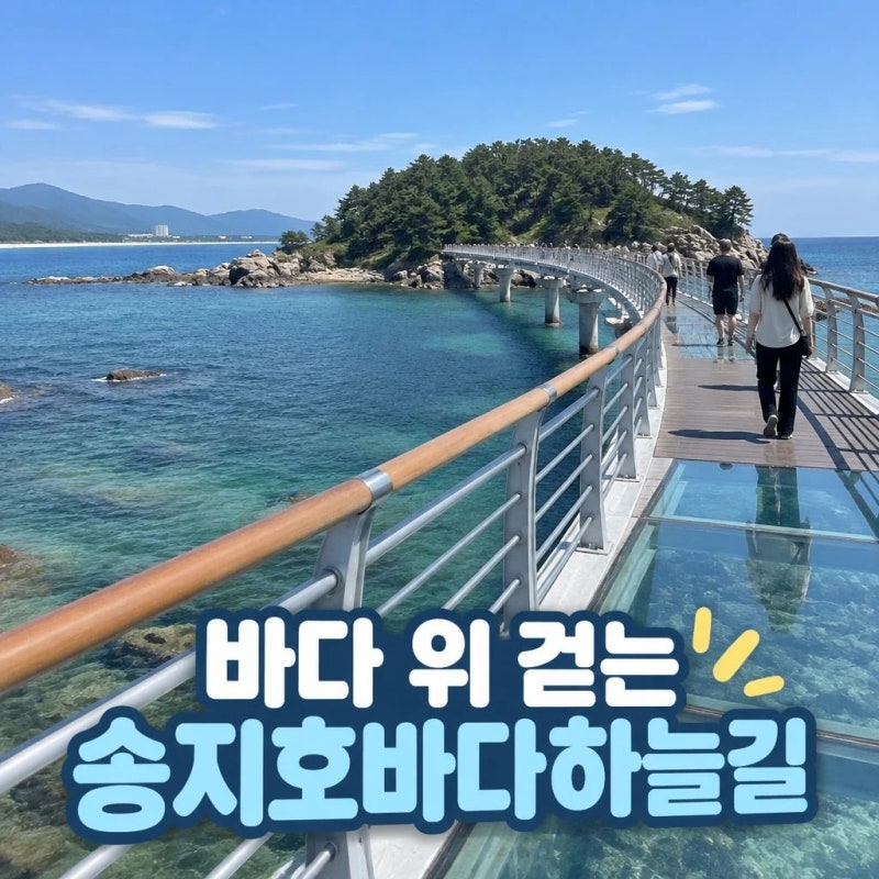 강원도 고성 송지호바다하늘길 추천 바다 위 산책코스 후기