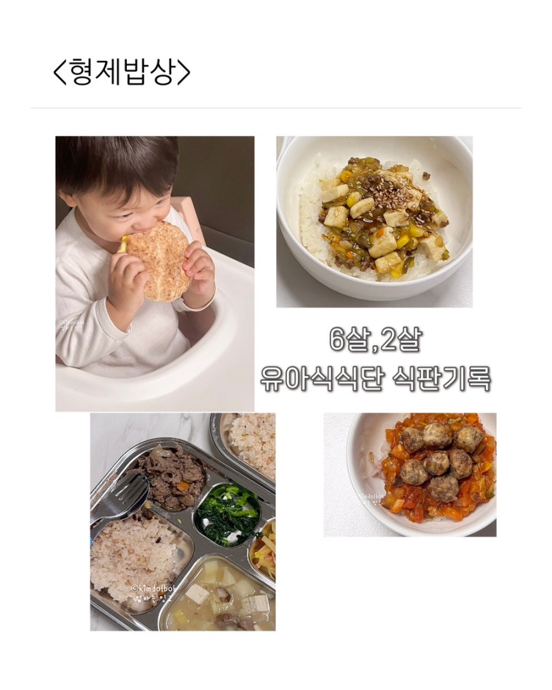 6살,17개월 유아식 식단 식판 기록