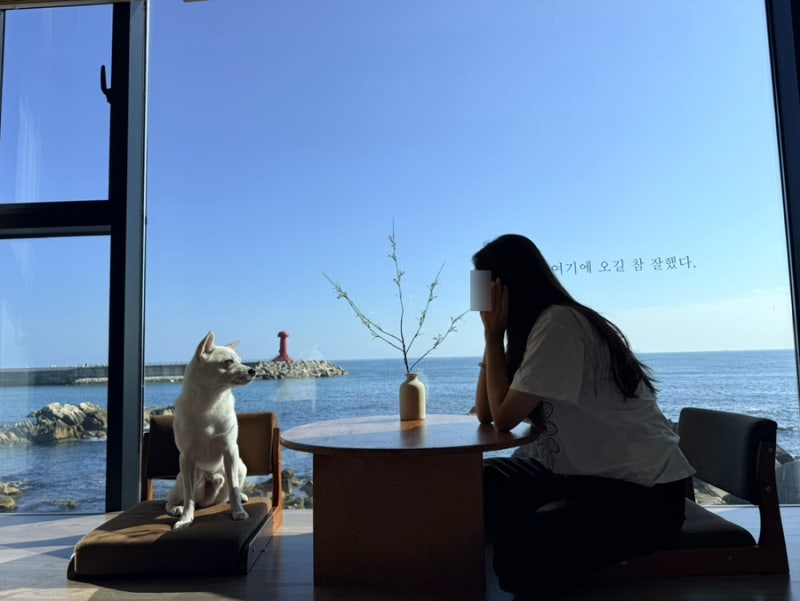 강원도 양양 애견동반 숙소 ⨟ 양양오션뷰 바다빛무지개펜션(202호)