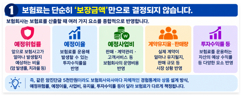️ 같은 암진단금 5천만원인데, 보험사마다 보험료가 다른 이유는?
