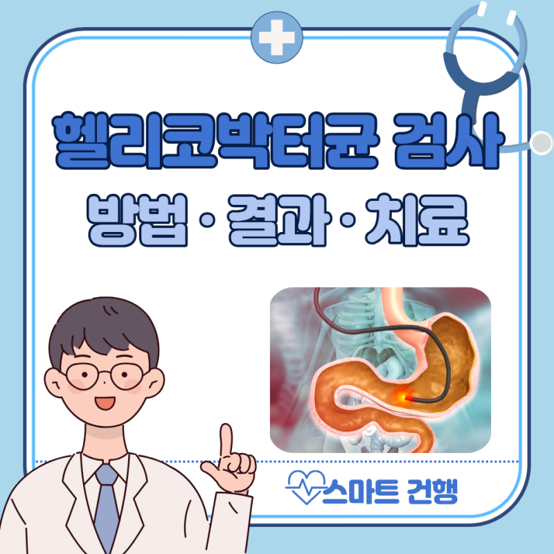 헬리코박터균 검사 방법, 비용, 양성 : 제균치료