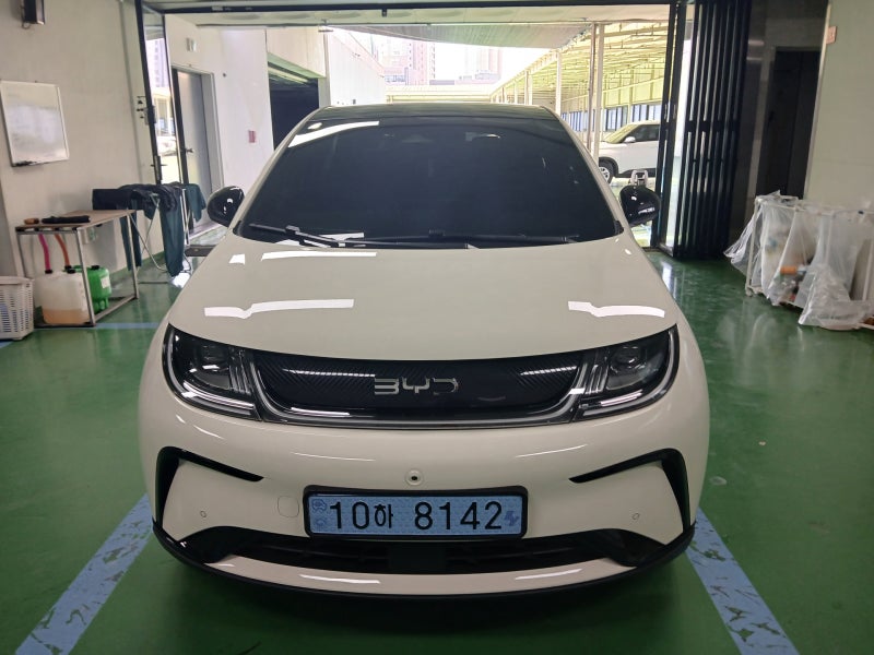 이안카 월렌트 BYD 돌핀 EV 전기차 월렌트 직접 경험해보고 싶은 전기차 배차 일기
