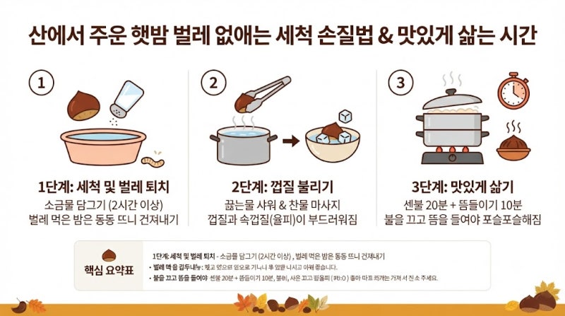 산에서 주운 햇밤 벌레 없애는 세척 손질법 & 맛있게 삶는 시간