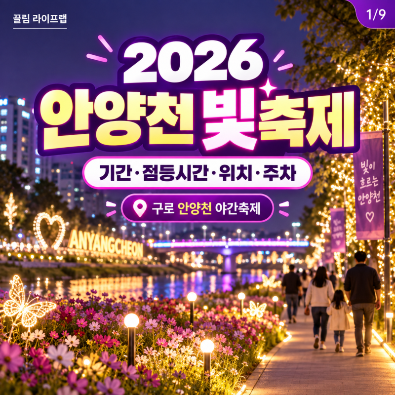2026 안양천 빛축제 기간 언제? 점등시간 위치 주차 기본정보