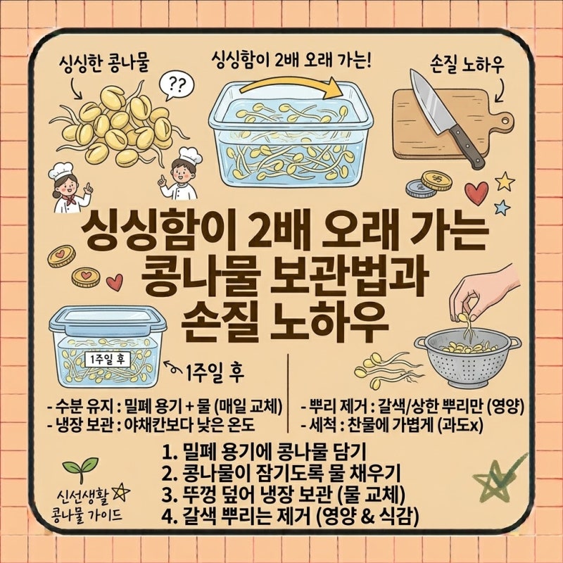 싱싱함이 2배 오래 가는 콩나물 보관법과 손질 노하우