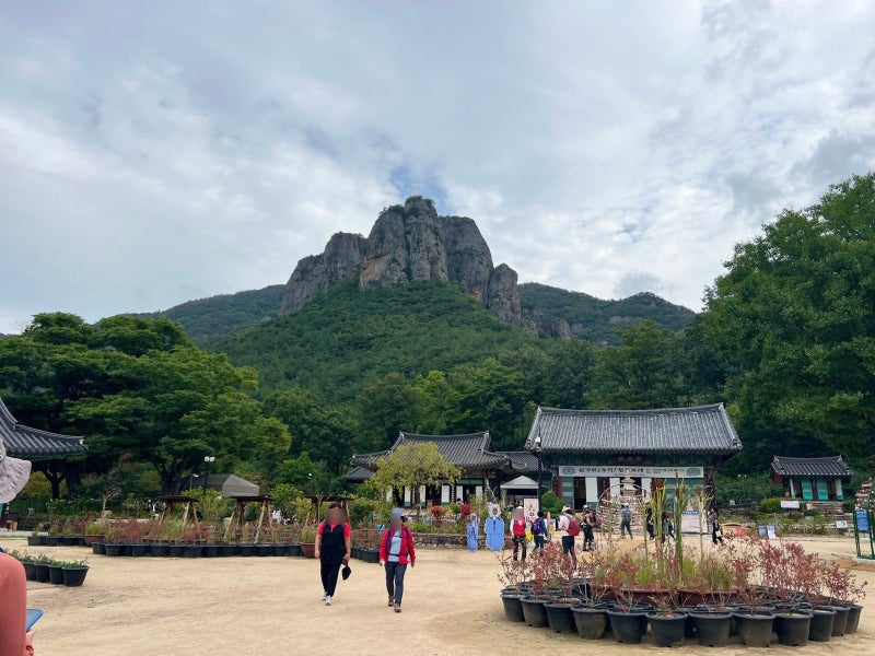 주왕산 등산코스 추천｜주왕계곡코스 용추폭포·용연폭포 초보 등산 후기