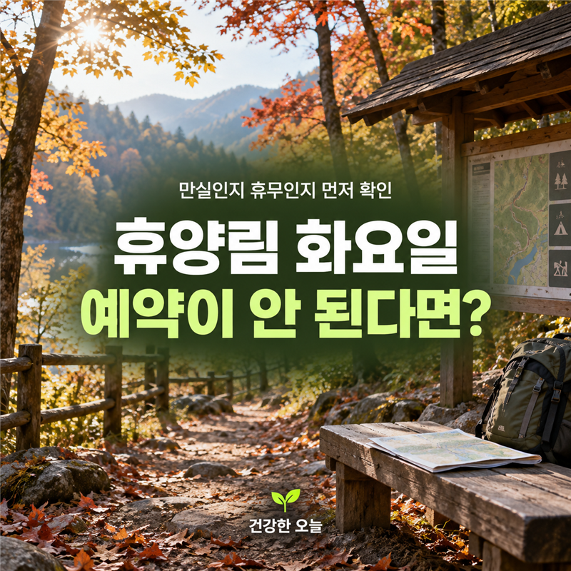 휴양림 화요일 예약이 안 된다면? 만실보다 휴무일부터 확인하세요