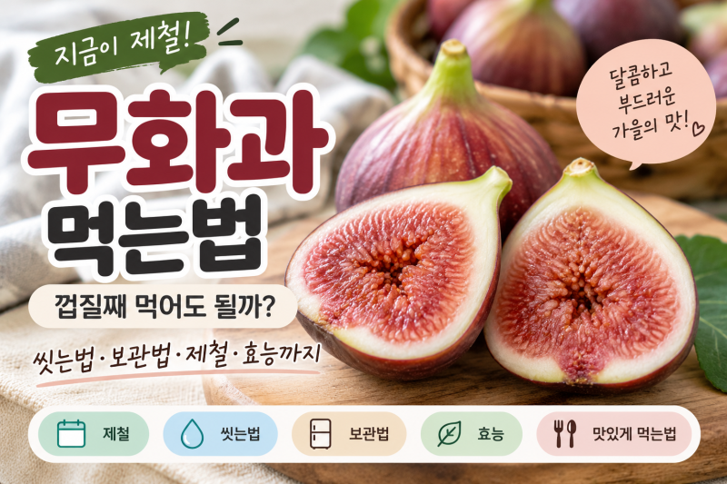 무화과 먹는법 껍질째 먹어도 될까? 씻는법 보관법 제철 효능까지