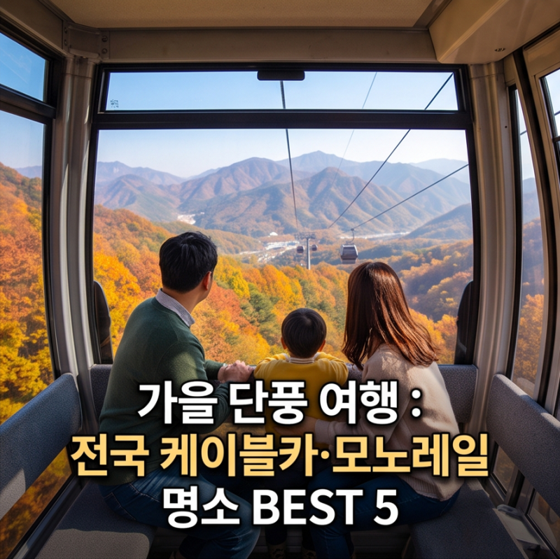 부모님·아이와 걷기 편한 가을 단풍 여행 : 전국 케이블카 명소 BEST 5