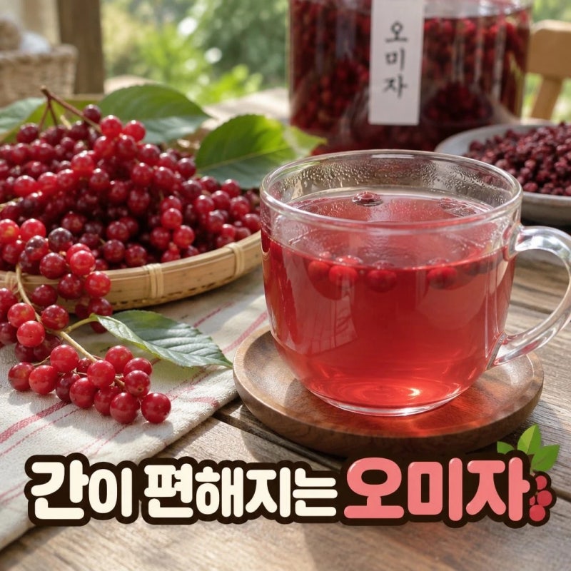 [오미자 효능] 환절기 기관지 보호는 물론, 간을 보호하고 피로회복에 좋은 바로 그 성분!