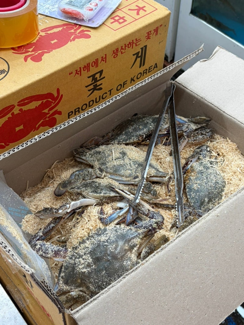 대구 매천시장 생새우 꽃게 전어 맛집 동남수산