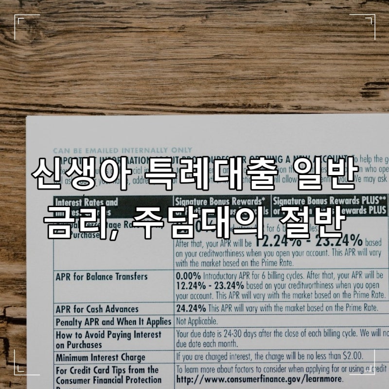 신생아 특례대출 금리, 일반 주담대의 절반 수준인 이유