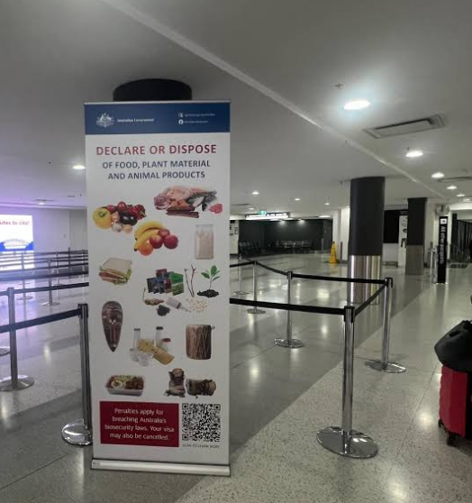 호주 입국 검역 총정리｜음식·약·영양제, 가져가면 큰일난다? 2026 최신판