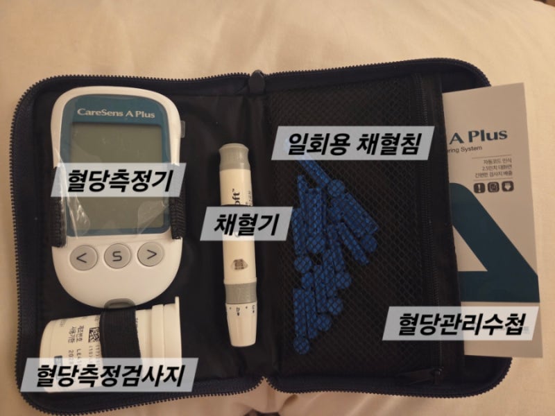 26주 쌍둥이 임산부 임신성당뇨 확정｜임당 재검 수치와 첫 혈당 기록