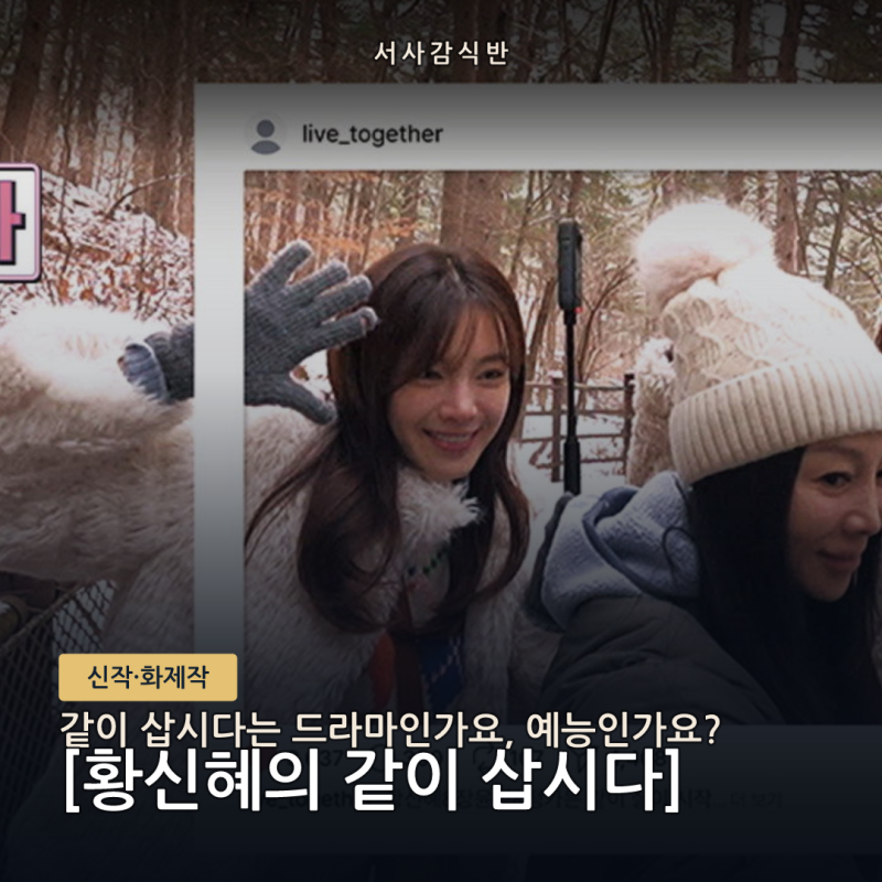 같이삽시다 황신혜, 드라마 아닌 예능이었다? 방송 채널·시간 총정리