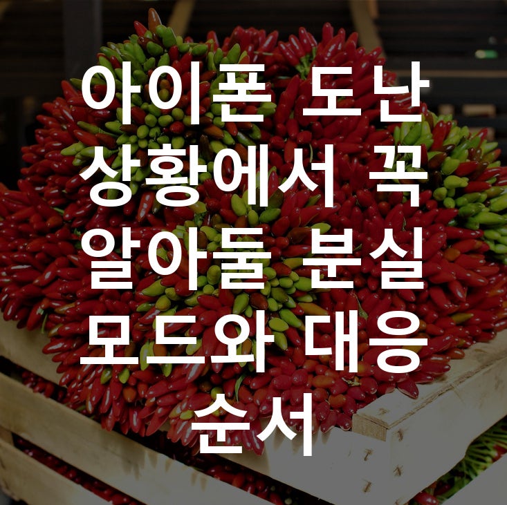 아이폰 도난 상황에서 꼭 알아둘 분실 모드와 대응 순서