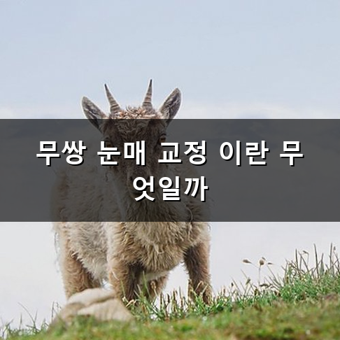 무쌍 눈매 교정 하고 싶다면 꼭 알아야 할 점들