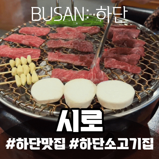 하단맛집 시로, 분위기 좋은 일본식 화로구이로 가족외식하기 좋은 하단소고기집