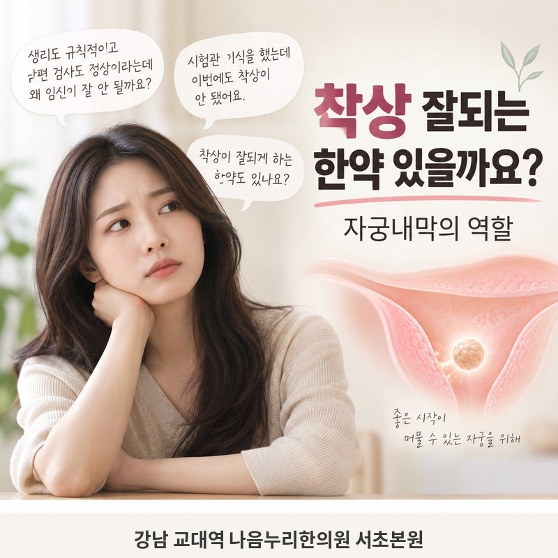 착상 잘되는 한약 있을까요? 자궁내막의 역할
