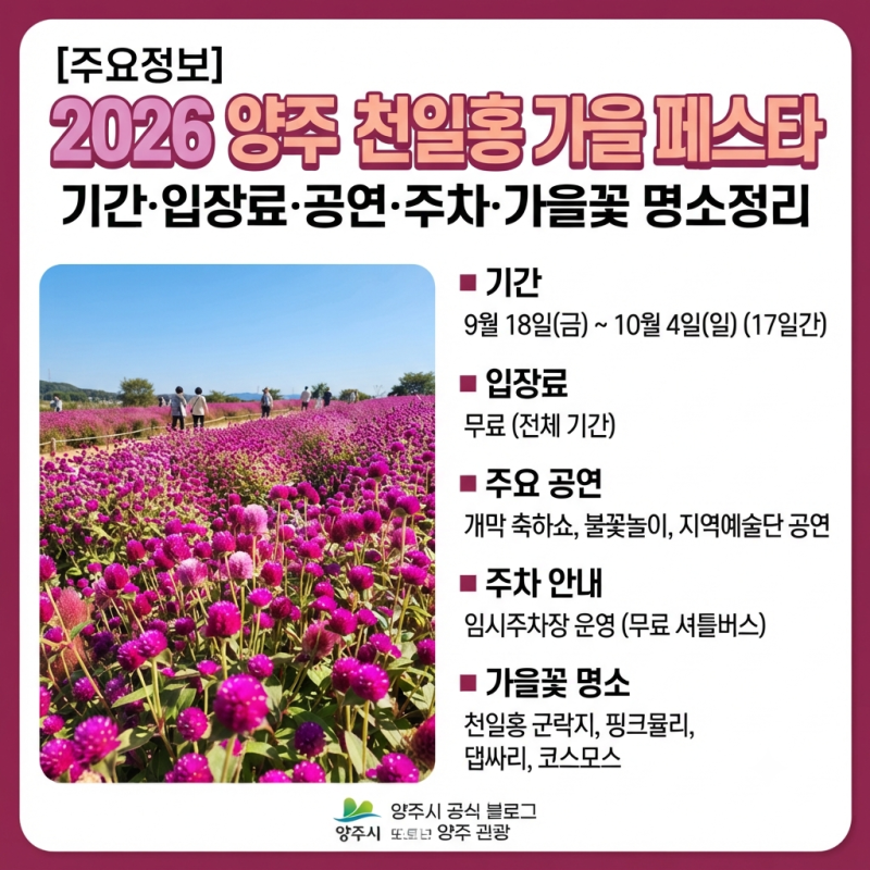[경기도축제] 양주 천일홍 가을 페스타 기간·입장료·공연·주차·가을꽃 명소정리