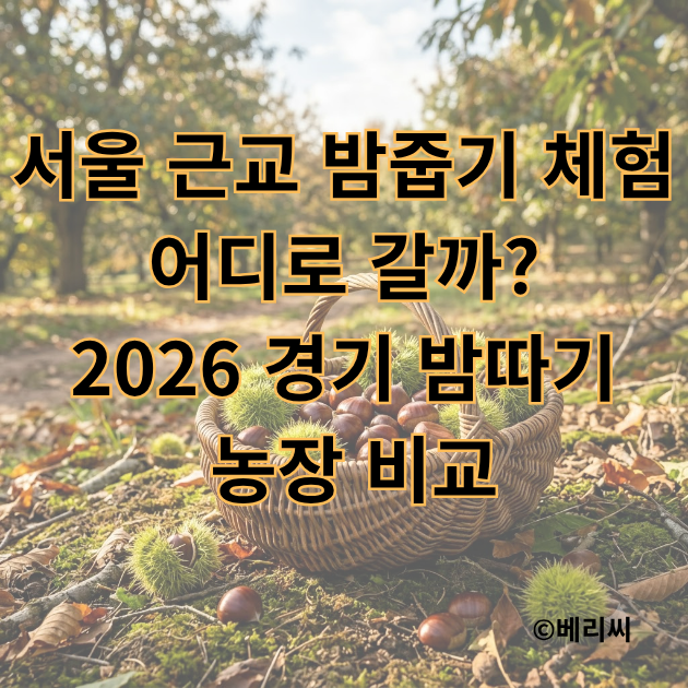 서울 근교 밤줍기 체험 어디로 갈까?｜2026 경기 밤따기 농장 비교