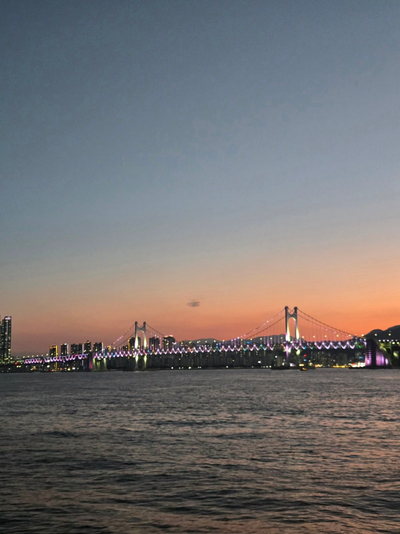 I Took the Haeundae Cruise! The Gwangandaegyo Bridge Night View at Sunset Was So Beautiful! Reservation, Ticketing, Boarding Review...