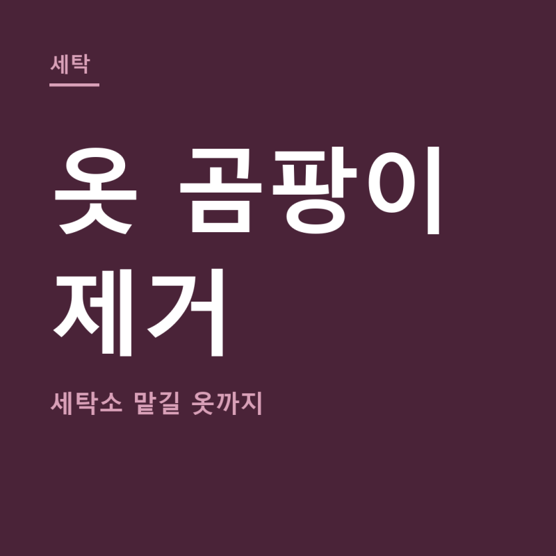 옷 곰팡이 제거 방법 총정리 (+옷 곰팡이 세탁, 세탁소)