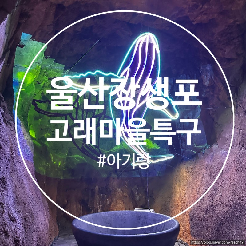 부산에서 울산 장생포 당일치기｜해피관광카드로 알차게 돌아본 후기