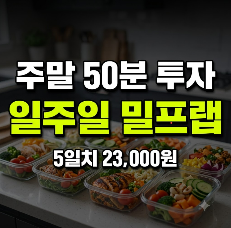직장인 밀프랩 도시락 일주일 식비 절약 냉동 보관법(+식단표)