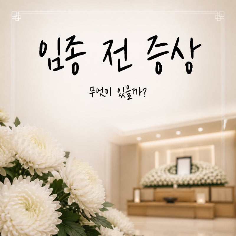 임종 전 증상 10가지 | 가족이 미리 알아야 할 신호
