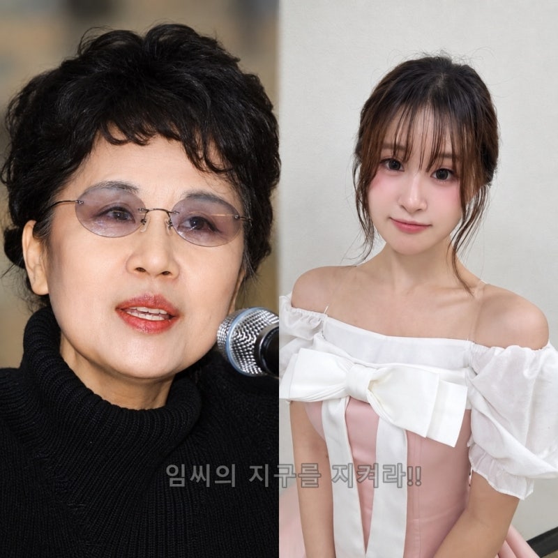 심수봉 김다현 공개저격 논란, 사과문조차 어른답지 못했다 (연예뉴스)