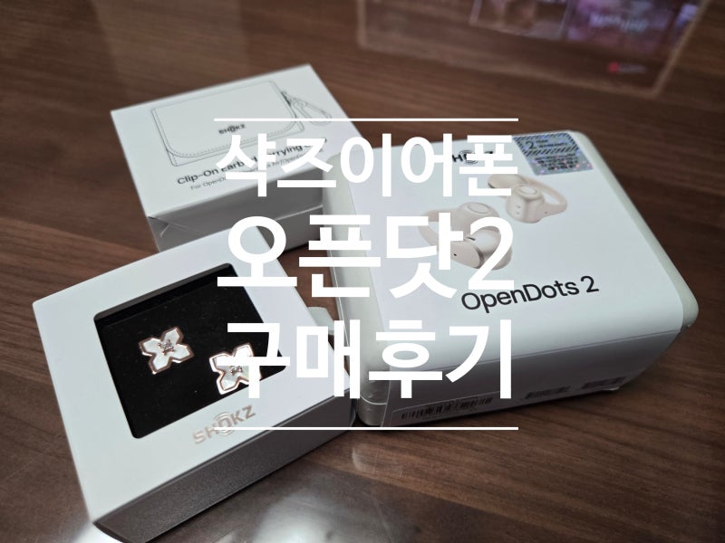 오픈형 이어폰 샥즈 오픈닷2 구매사용후기