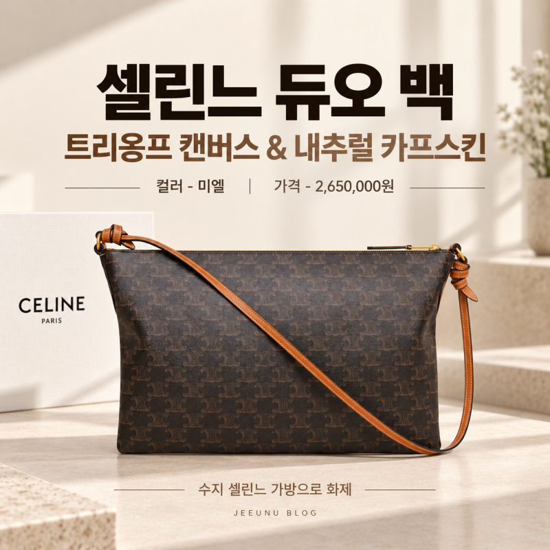 精品入門包款200萬韓元級別：秀智的Celine Duo包，收納力如何？