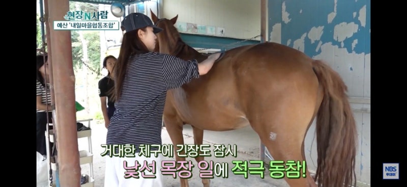 시골 한달살기 예산 내일 스테이 후기
